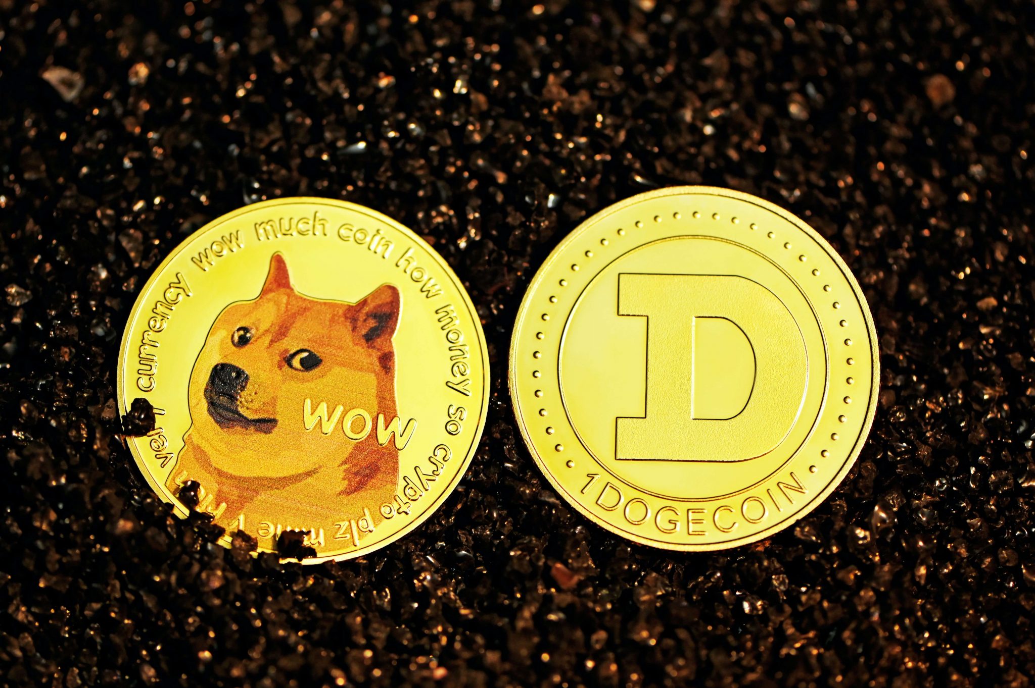 Shiba Inu SHIB Se Tornou Uma Das Criptomoedas Mais Valiosas Do Mundo