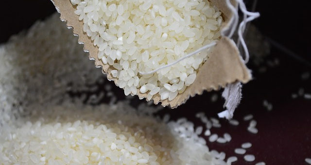 grãos-arroz