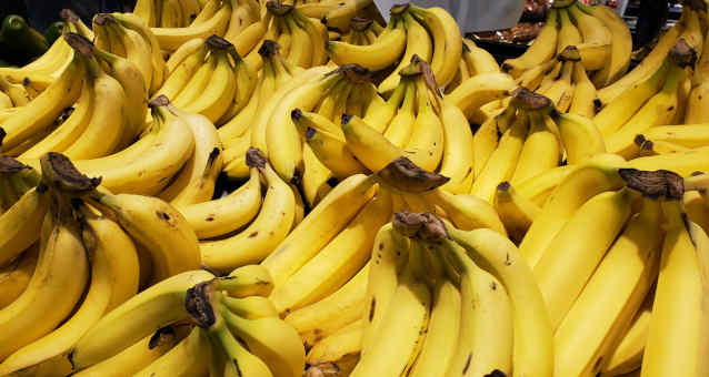 Banana Agro