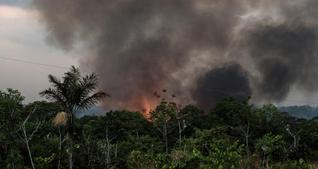 Amazônia