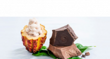 Barry Callebaut Empresa Chocolate
