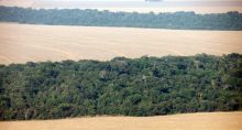 Áreas de floresta amazônica e de cultivo de soja em Mato Grosso