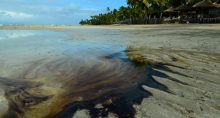 Mancha Polução Praias Nordeste