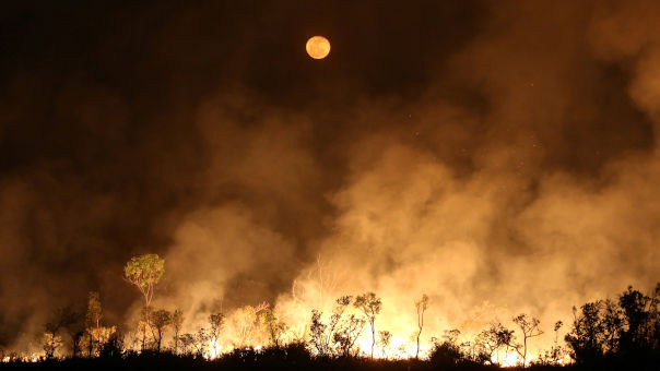 Incêndio na floresta amazônica, no Estado do Amazonas Amazonia