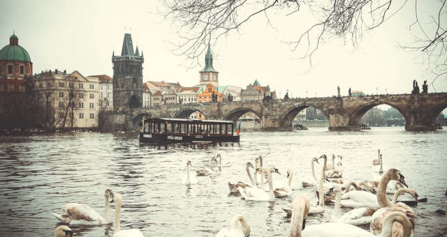 Praga Ponte