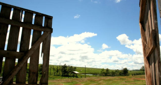 fazenda agronegócio agricultura