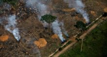 Desmatamento Amazônia Meio Ambiente