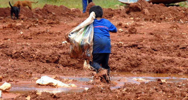 trabalho infantil