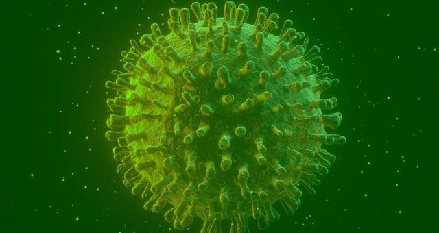 Coronavirus Brasil