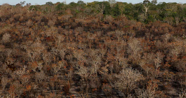 Desmatamento Meio ambiente amazônia