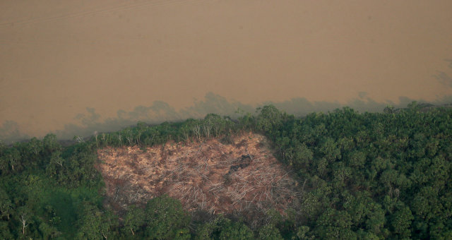 Amazônia Desmatamento