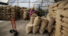 sacas de café-exportações