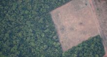 Amazônia Desmatamento Meio Ambiente