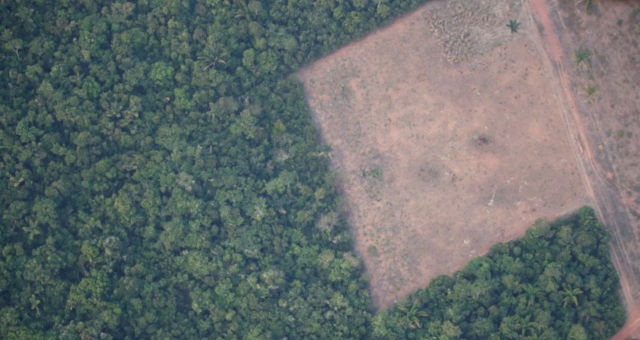 Amazônia Desmatamento Meio Ambiente