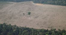 Desmatamento Amazonas
