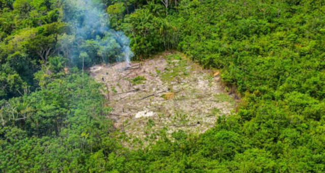 Meio Ambiente Desmatamento Amazônia