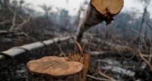 Amazônia atingido por queimada