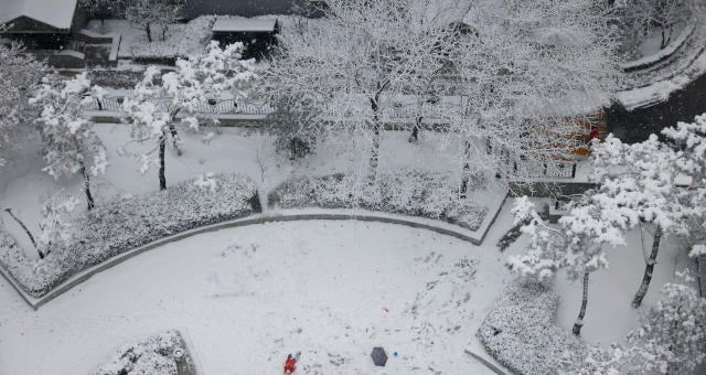 Neve em Seul