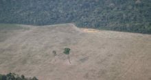 Vista aérea de área desmatada na floresta amazônica perto de Porto Velho 14/08/2020