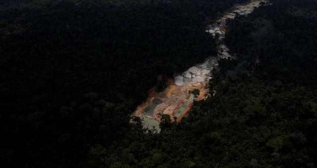 Desmatamento, Amazonia