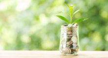 Planta crescendo de dinheiro ESG Expert