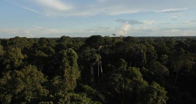 amazonas Amazônia