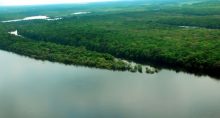 Amazônia Meio ambiente
