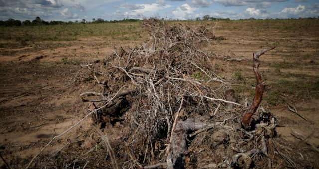 desflorestamento em Palmeirante, em Tocantins