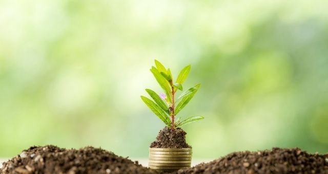 Sustentabilidade dinheiro sendo plantado árvores ESG