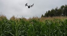 Drone Agricultura Lavoura