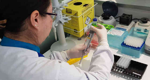 Procedimento de extração de DNA