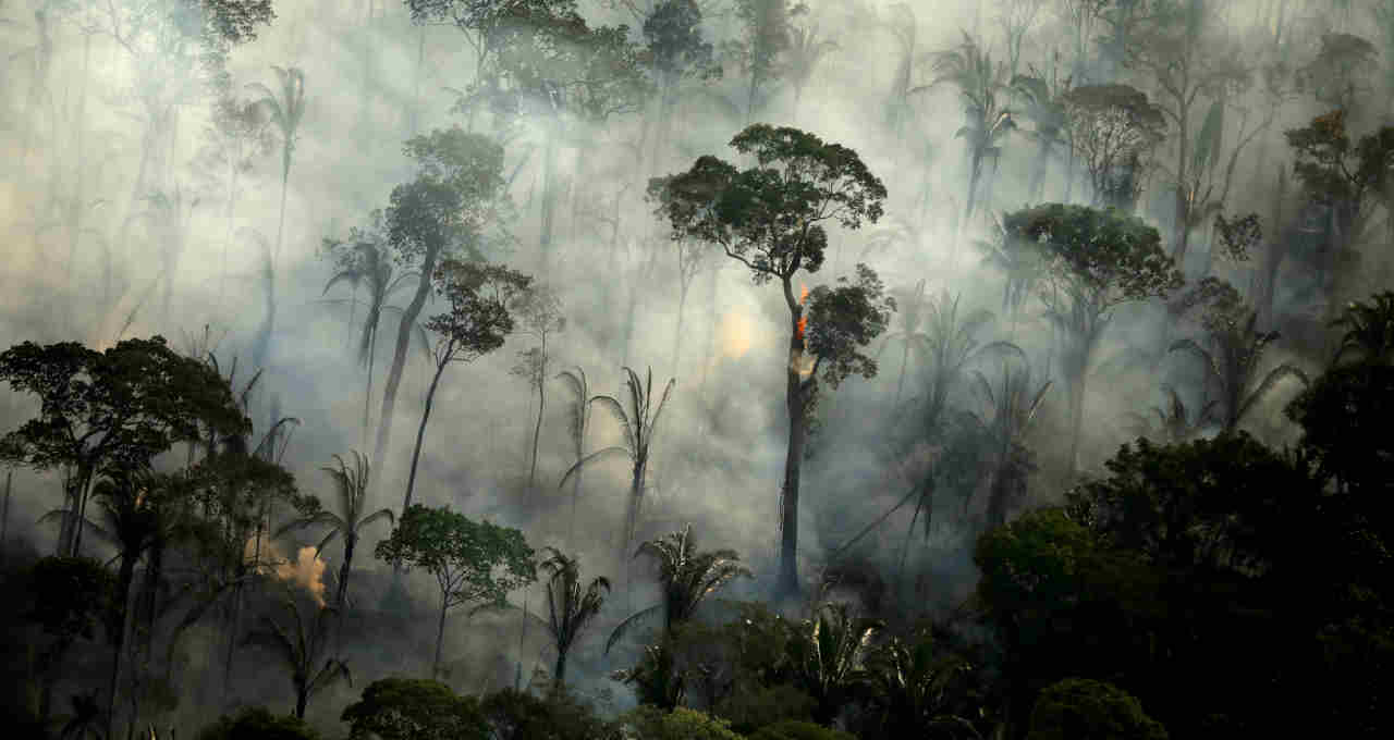 Floresta Amazônica incendiada