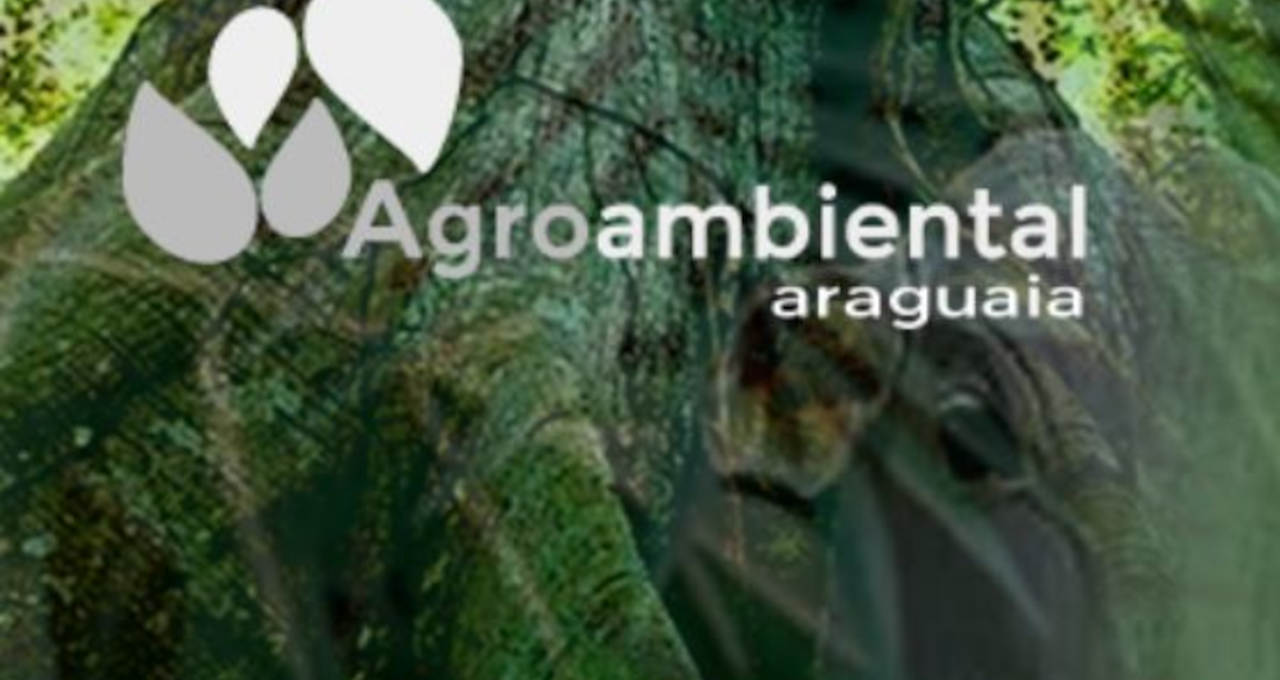 Liga do Araguaia