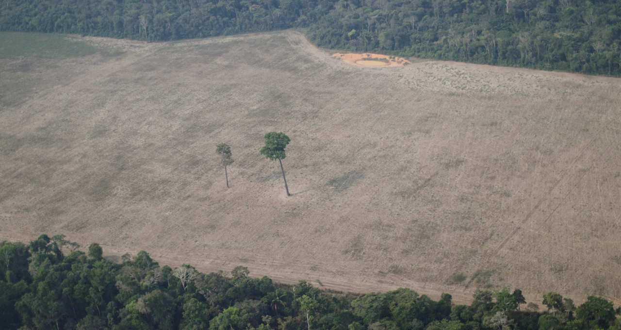 Amazônia Desmatamento