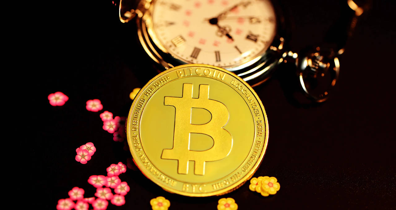 Bitcoin a US$ 50 mil, Coinbase e PayPal: confira o desempenho do mercado cripto