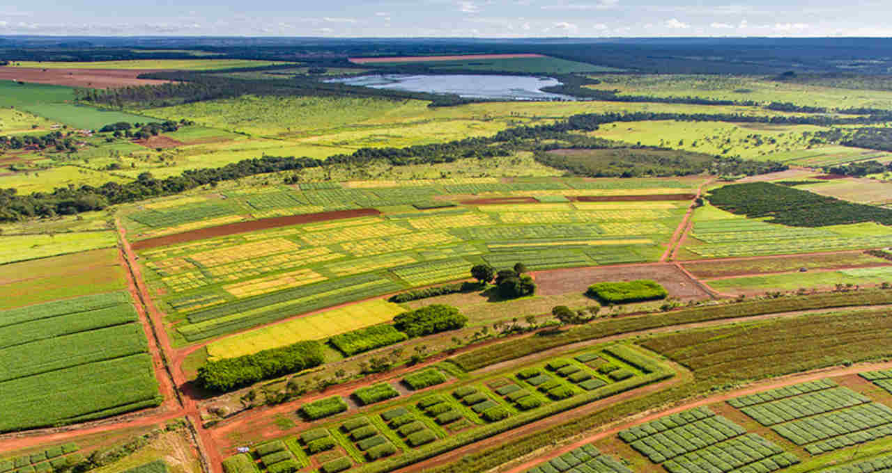 Agricultura Banco do Brasil fazendas fazenda
