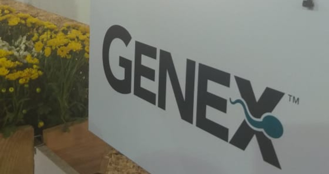 Genex