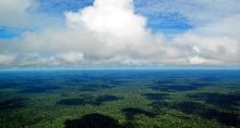 Petrobras, Amazônia. Amazonas, meio ambiente, floresta, sustentabilidade green deal