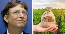 Montagem de Bill Gates ao lado de um cenário relacionado ao agronegócio