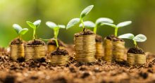 Pilhas de moedas saindo da terra, com mudas de planta em cima, representando investimentos ESG