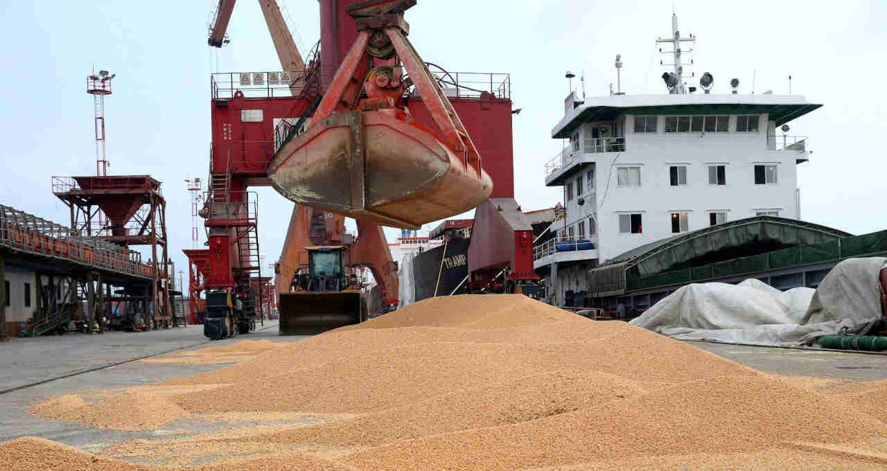 Estoques de farelo de soja da China triplicam e derrubam contratos futuros