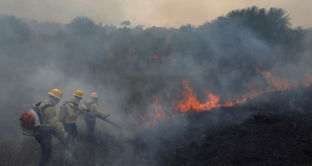 Incêndio na floresta amazônica em Apuí