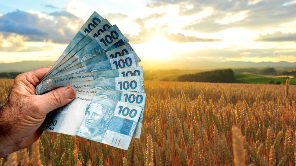 Fazenda com dinheiro brasileiro na mão