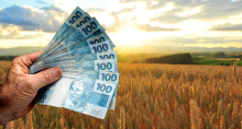 Fazenda com dinheiro brasileiro na mão
