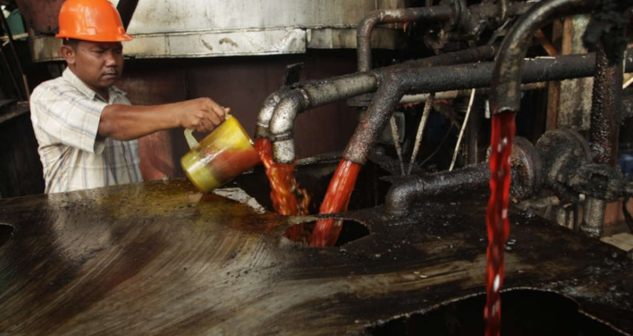 Trabalhador checa produção de óleo de palma