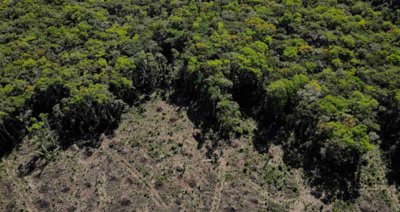 Vista aérea de regoão desmatada da floresta amazônica em Manaus