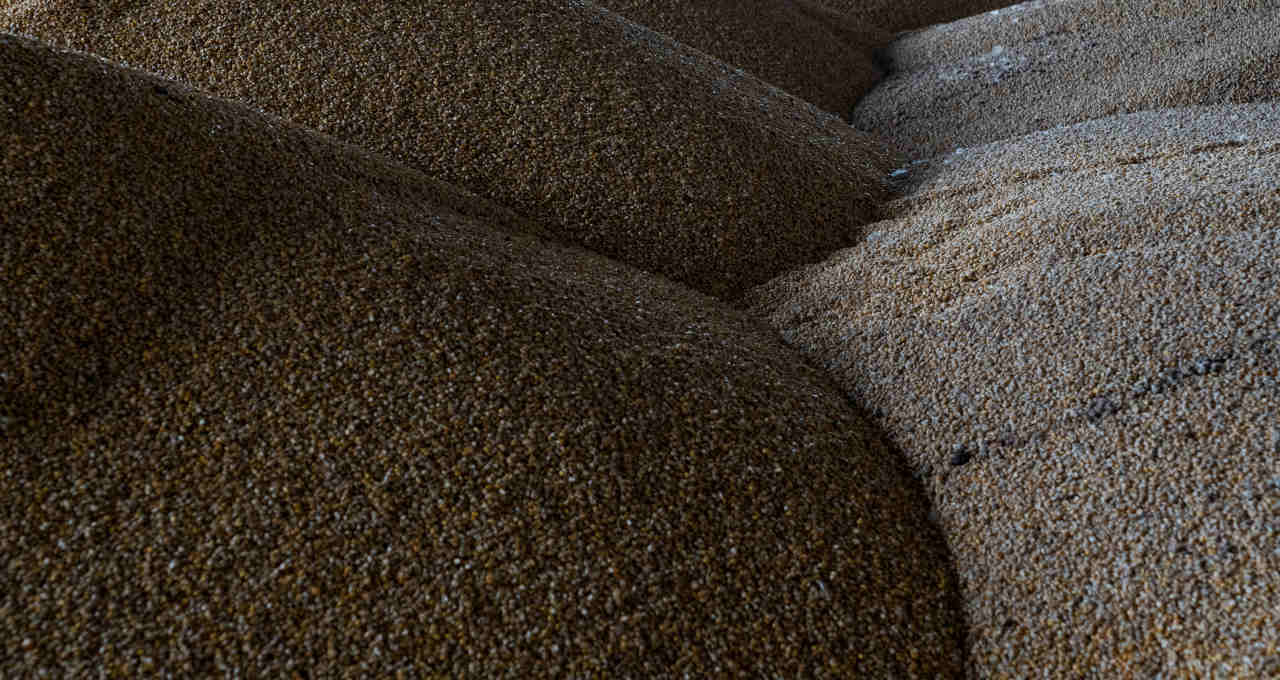 Graos safra inflação seca milho trigo soja