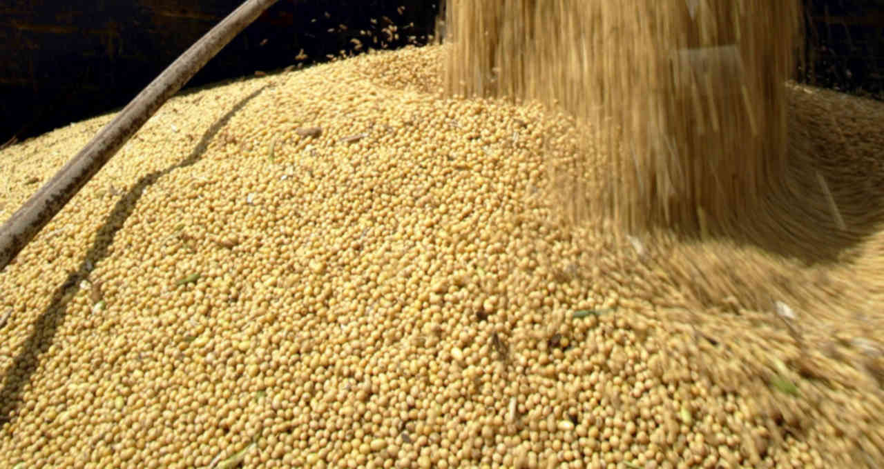 EE. UU. vende 289,700 toneladas de soja de la cosecha 2022-23 en una semana a la 27, dice el USDA – Money Times