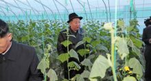 Coreia do Norte Agricultura