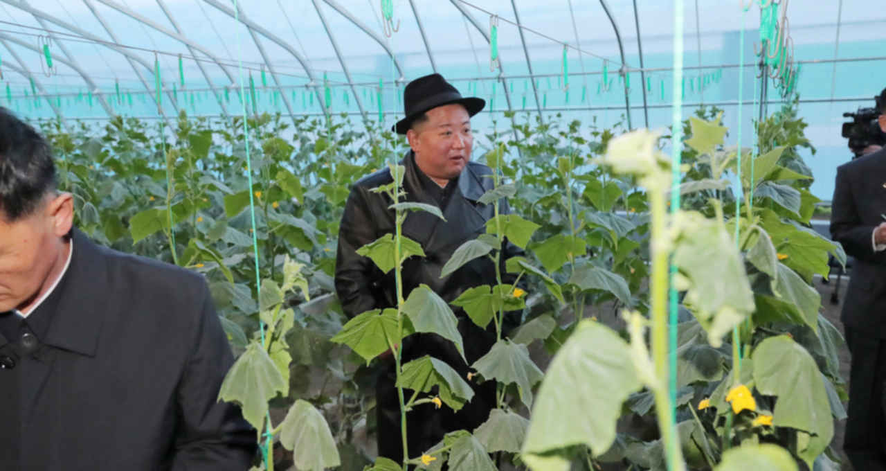 Coreia do Norte Agricultura